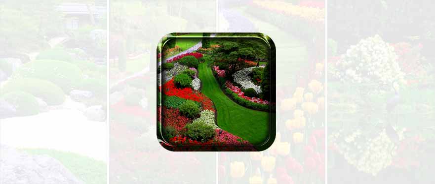 Garden Live Wallpaper Apk Android Lwp App 3d