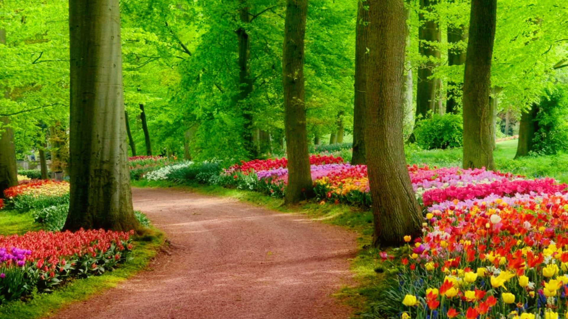 Die Besten Natur Wallpaper