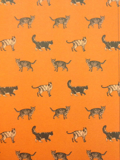 Art Wallpaper Cat Orange Textile Patterns