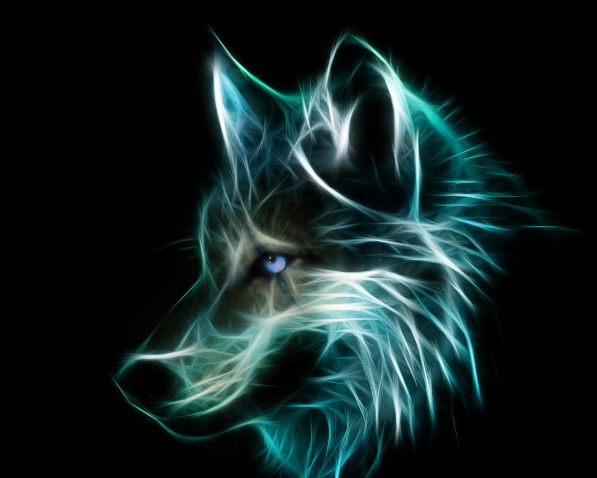 Blue Wolf Wolf .pro, Neon Blue Wolf HD wallpaper | Pxfuel