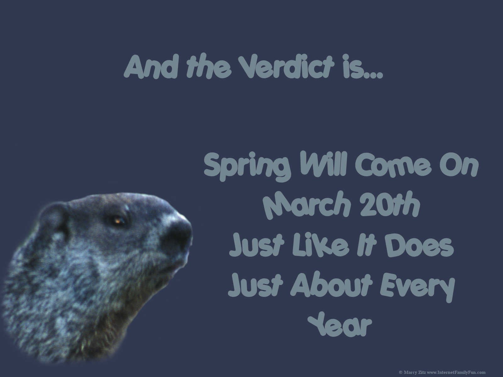 Groundhog Day Wallpaper Background for Desktop Featuring a Funny
