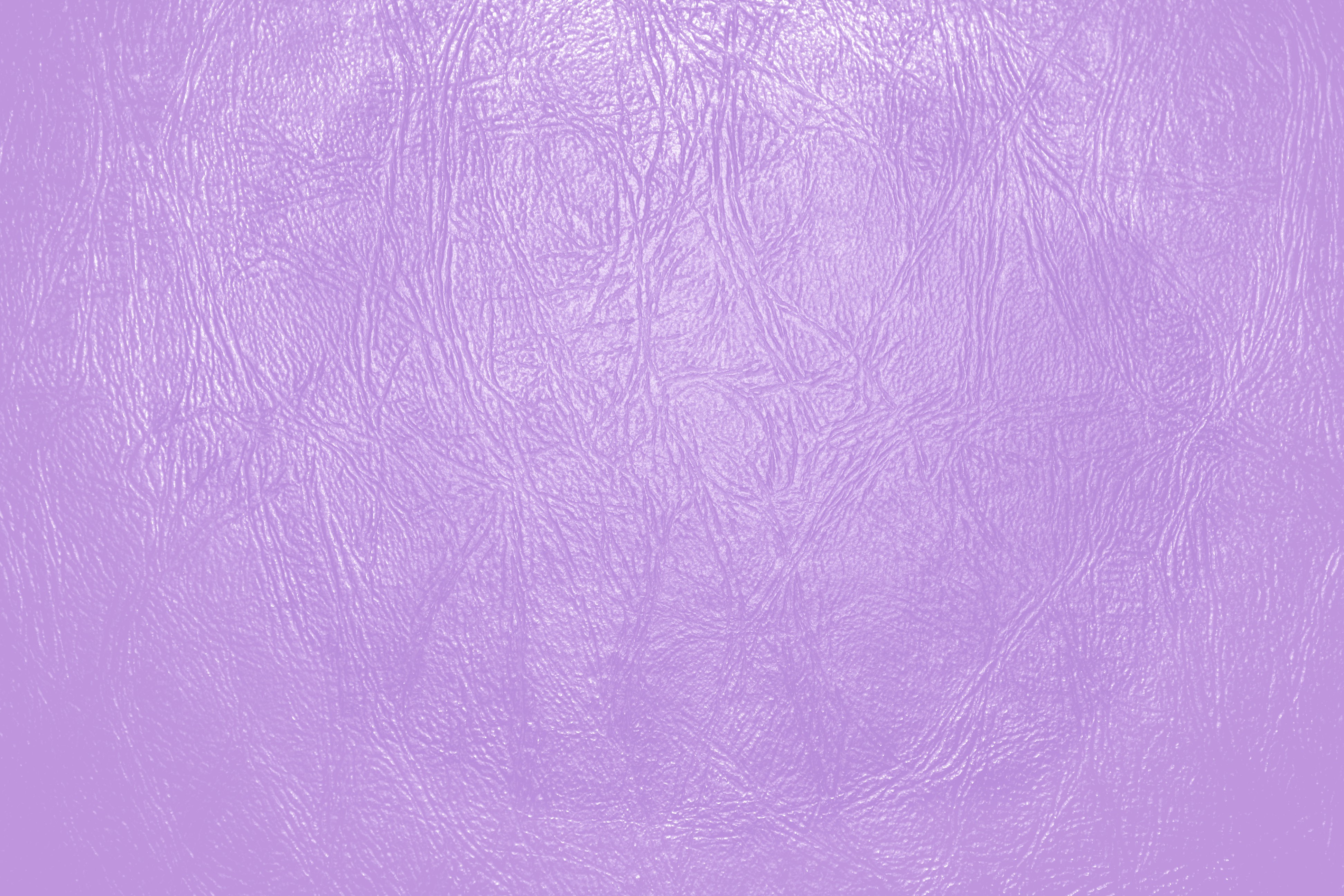 Lavender Or Light Purple Leather Close Up Texture Picture
