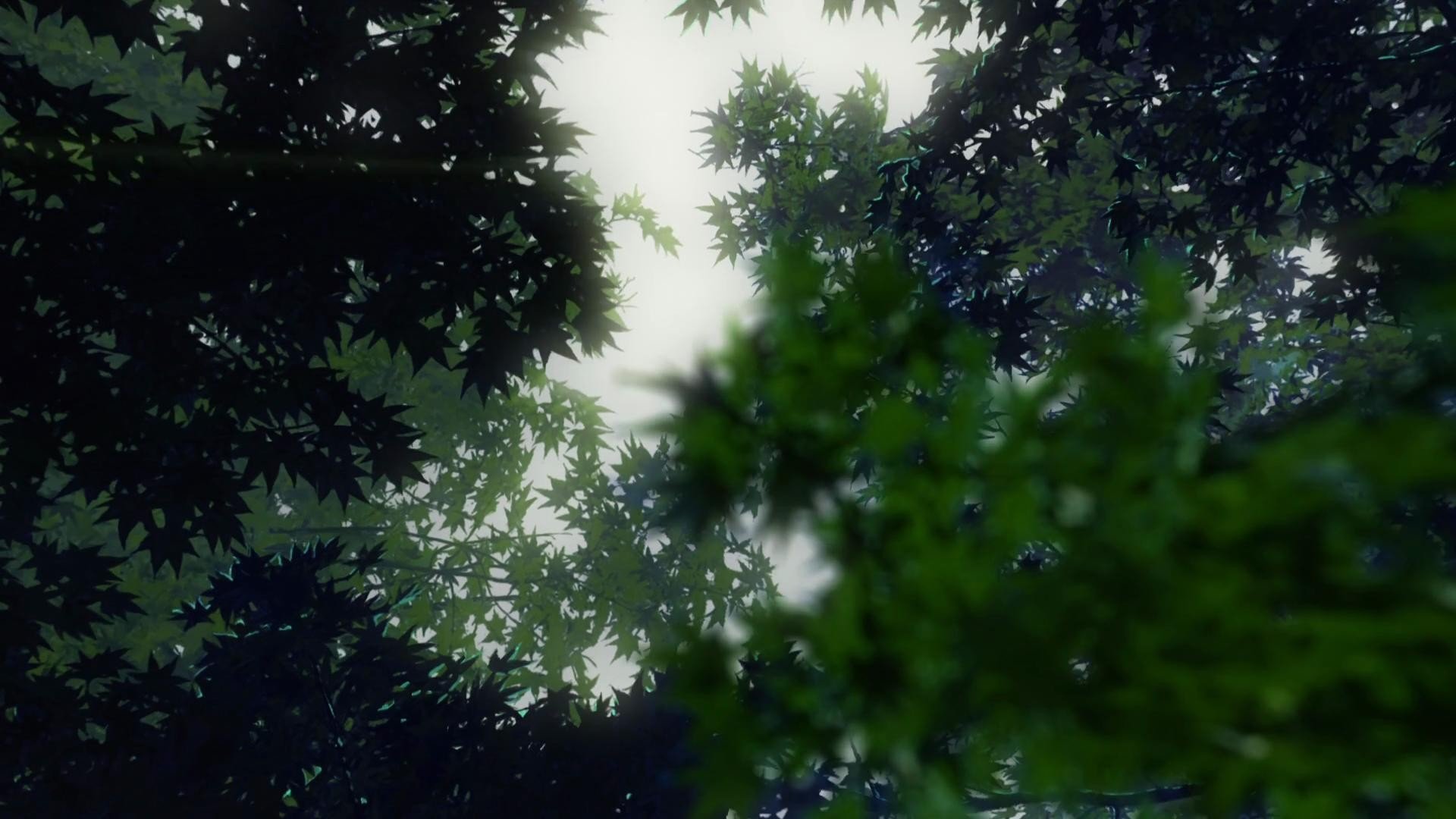 Makoto Shinkai Anime The Garden Of Words Wallpaper Background