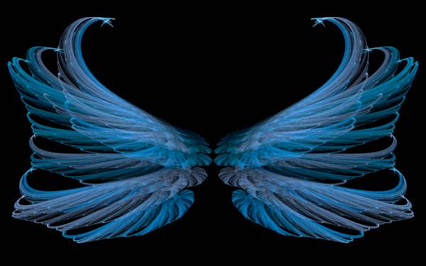 Abstract black blue wings desktop wallpapers 1920x1200 HQ photo
