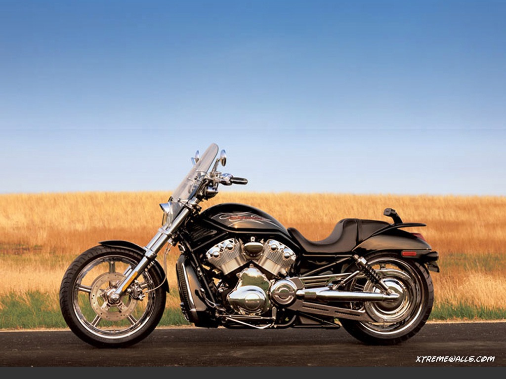 High Quality Wallpaper This Harley Davidson
