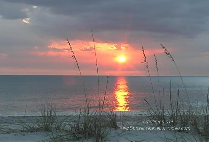 Florida Beach Wallpaper Beaches And Pictures Of Beautiful