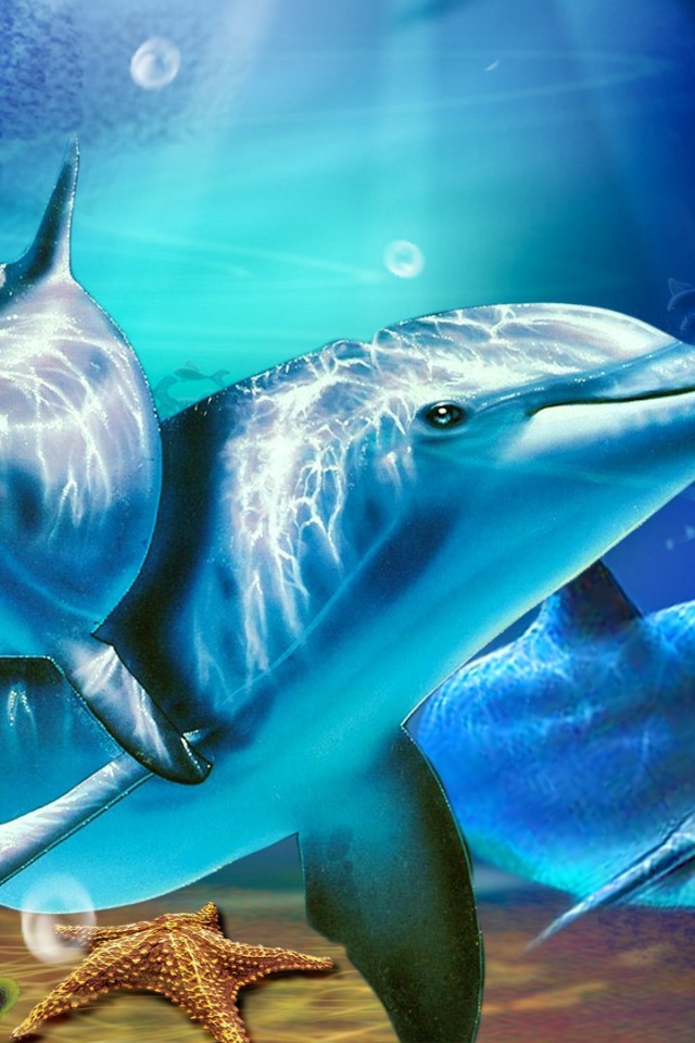 Colorful Dolphin Background Categories Animals Wallpaper