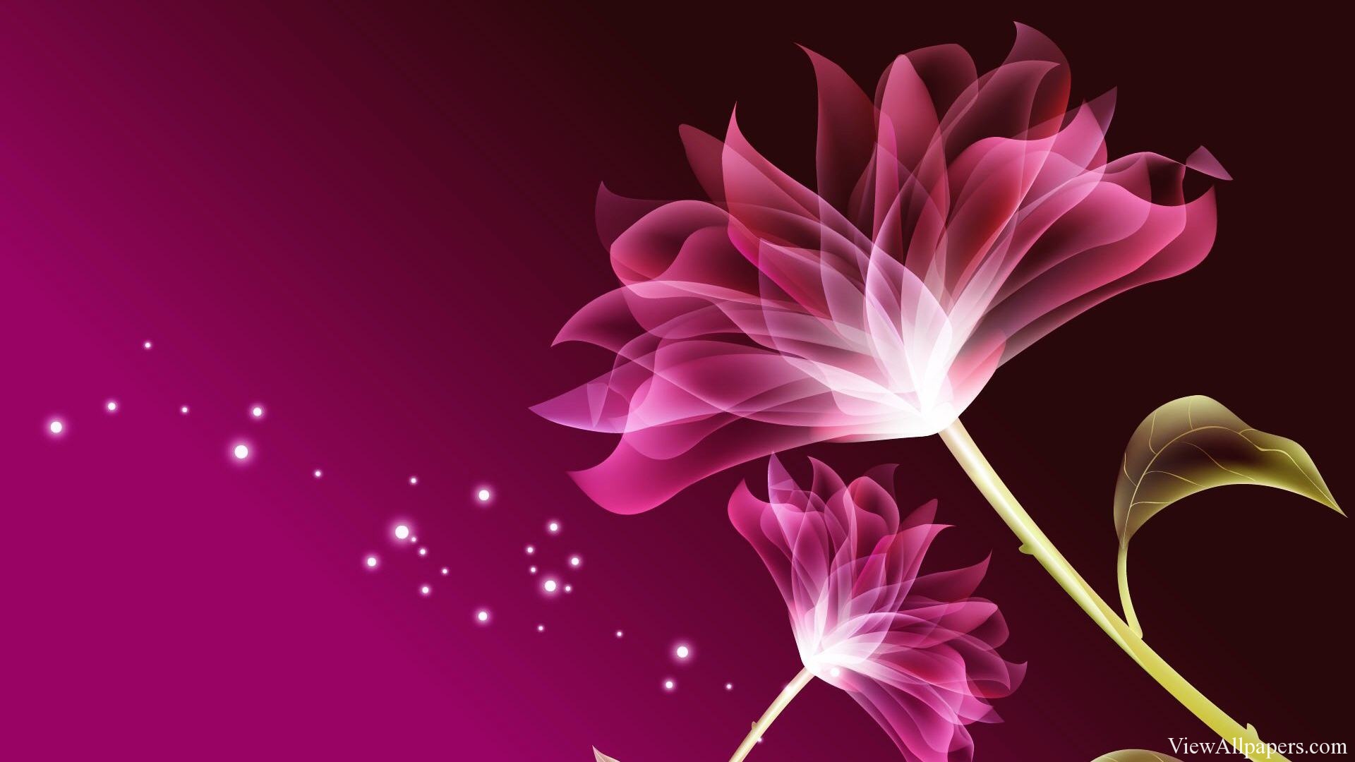 3D Pink Beautiful Flower Wallpaper 3D Abstract HD Wallpapers