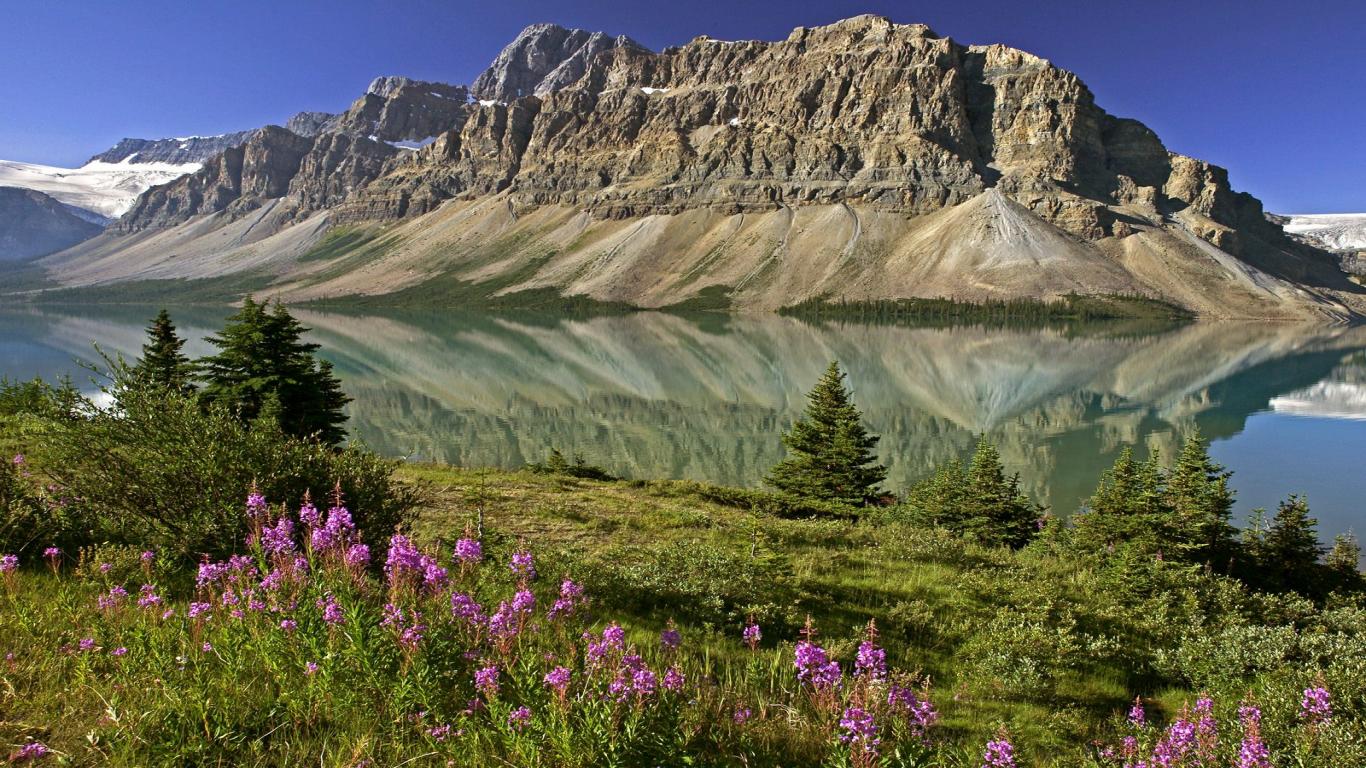 46+ Stone Wallpaper Canada on WallpaperSafari