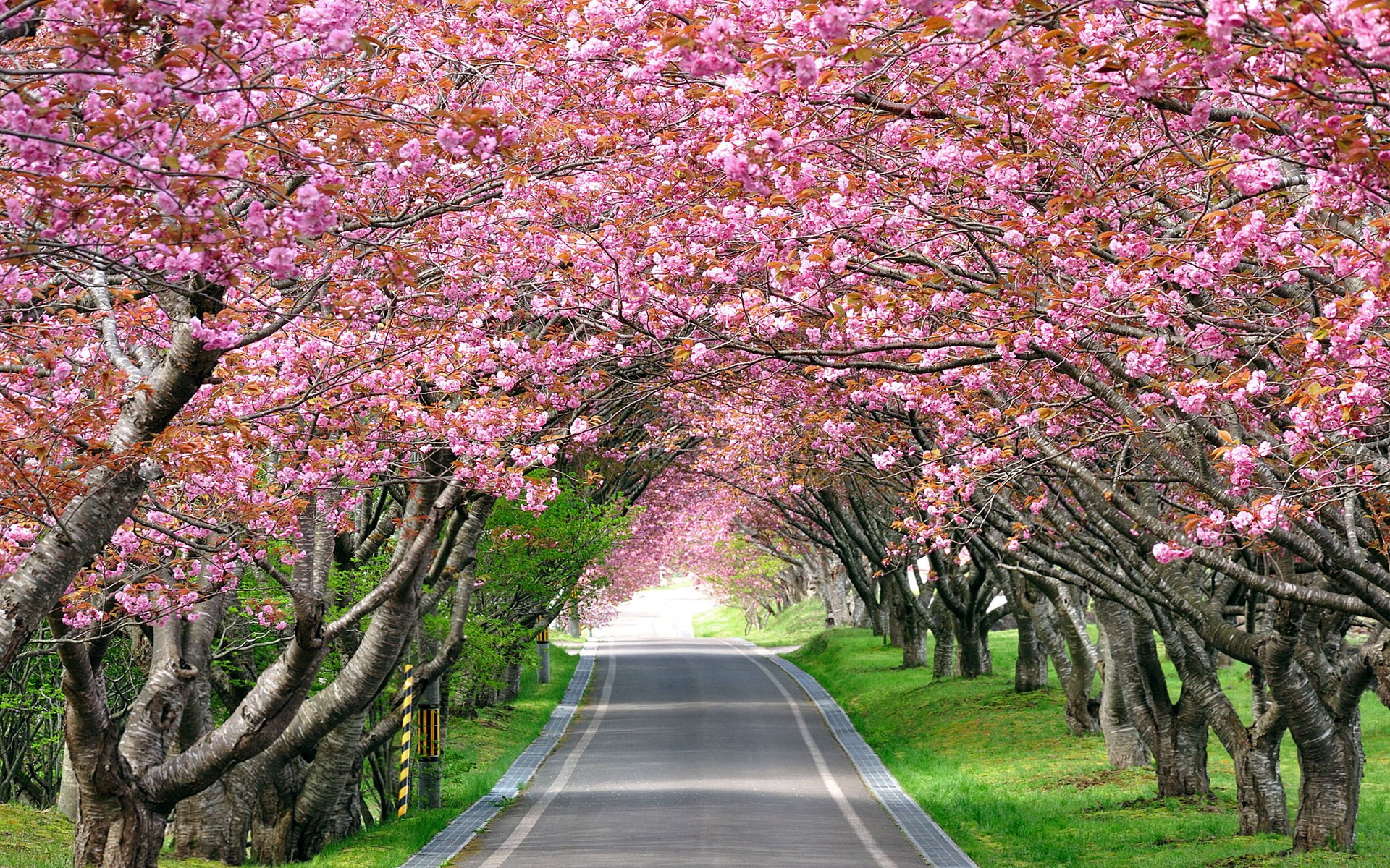Nature Scenes Desktop Wallpaper