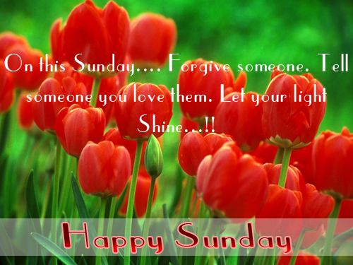 For A Sunday Happy Flower Quotes Sms Wallpaper