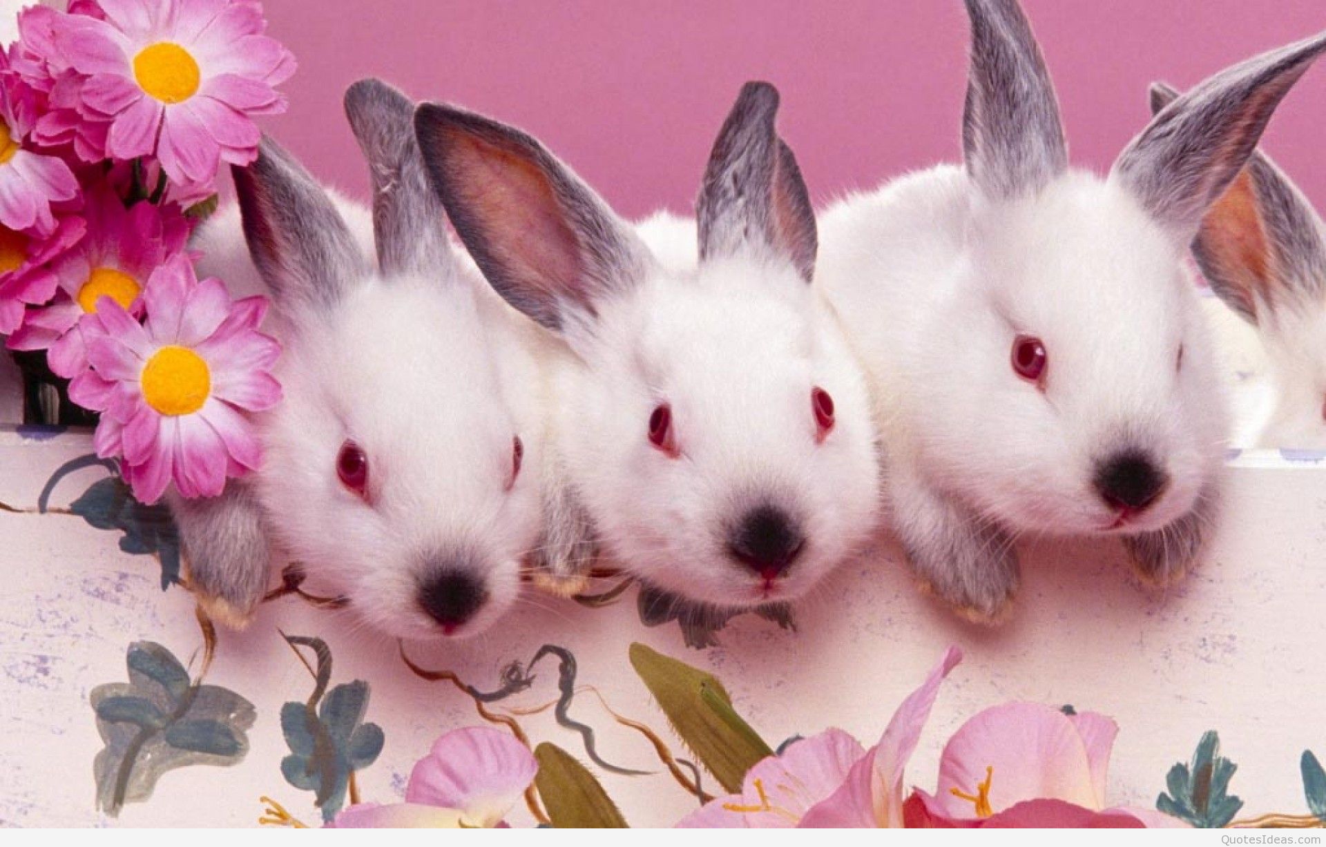 Happy Easter bunny wallpapers and quotes