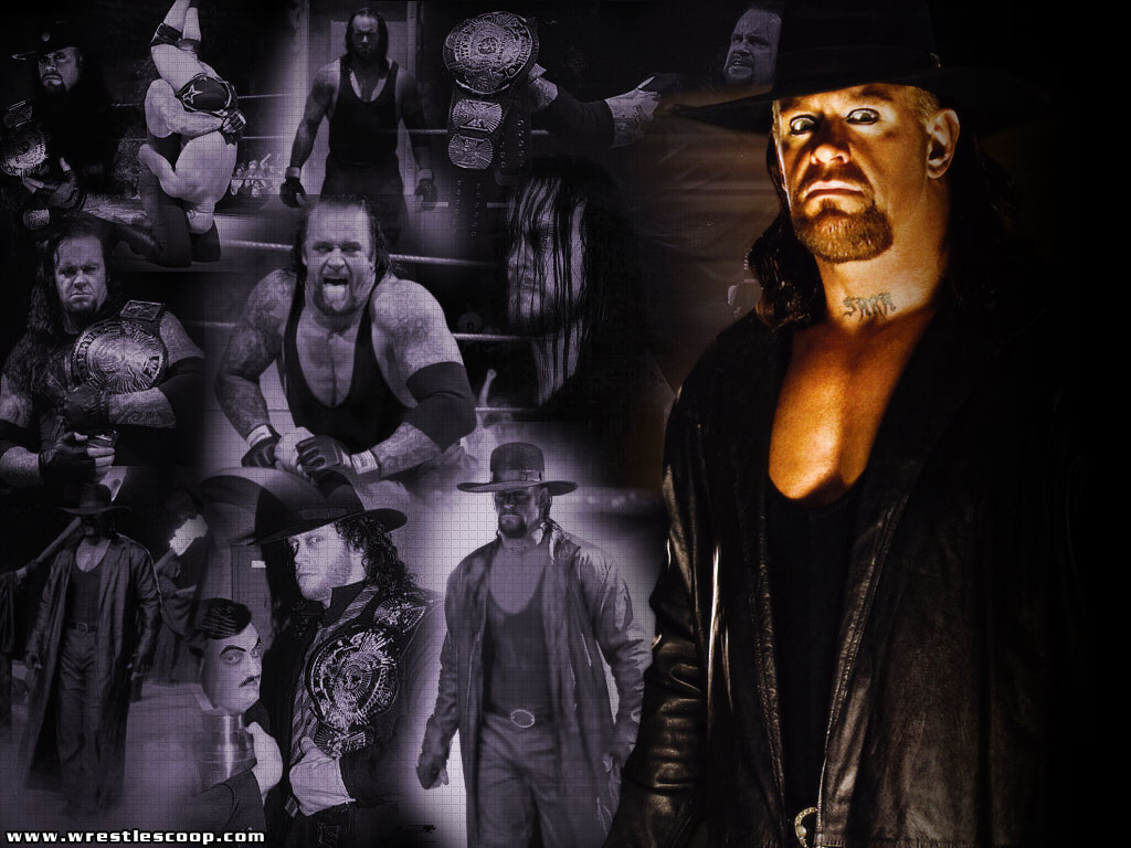 Wwe Champion Undertaker Wallpaper