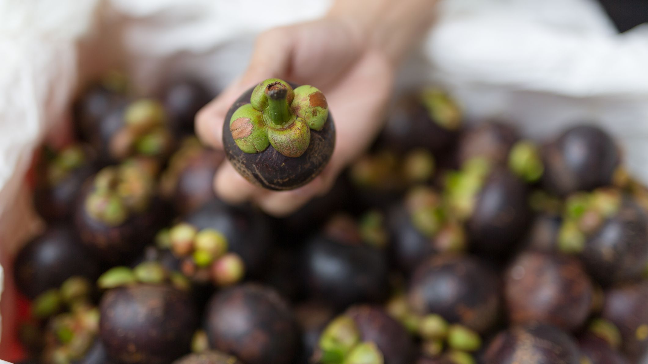 Cut And Prepare Mangosteen Fruit