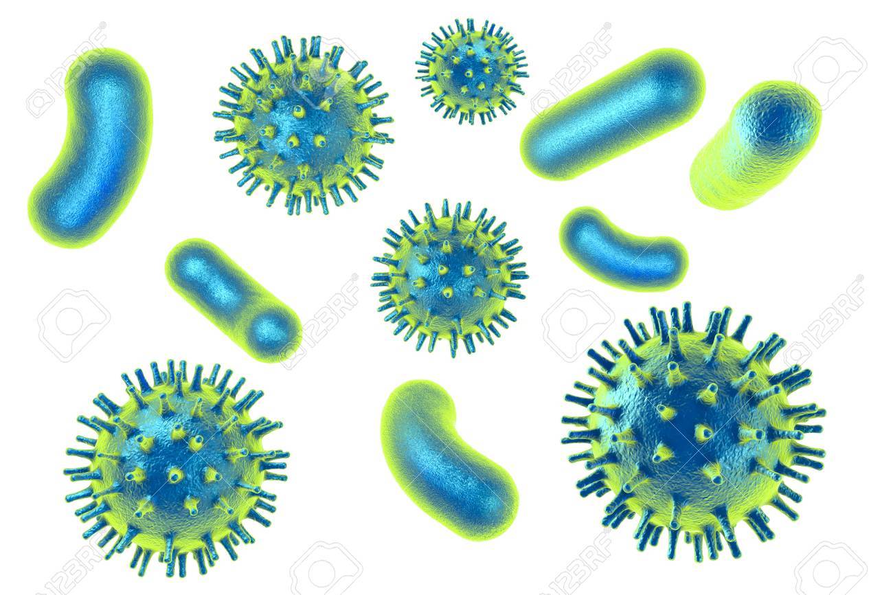 Human Pathogenic Viruses And Bacteria Isolated On White Background