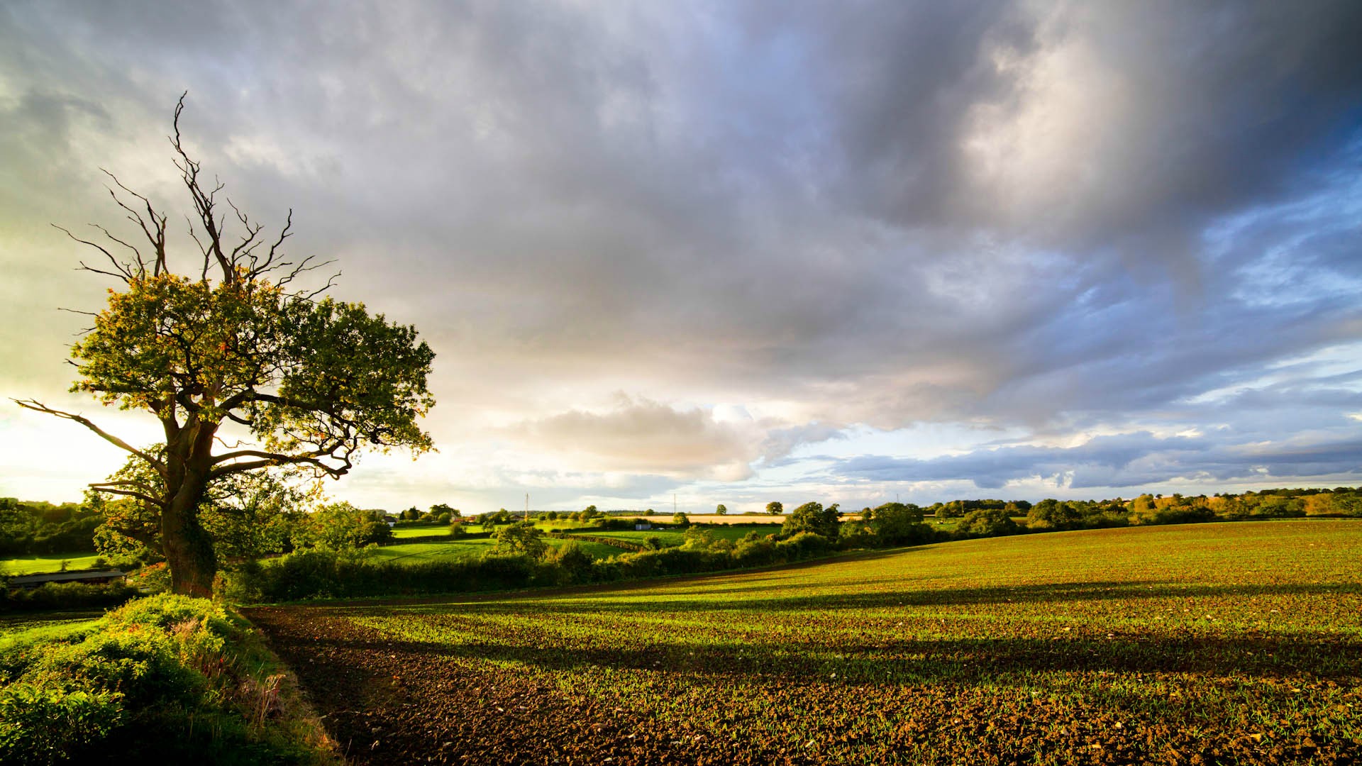 48 English Countryside Desktop Wallpaper Wallpapersafari