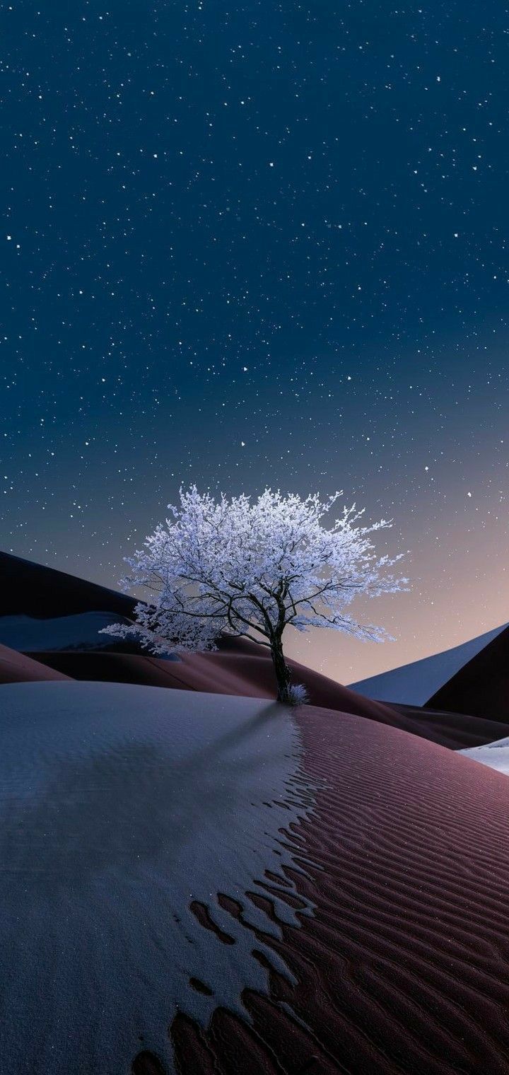 189f6851e5f68a938f48dded7b94df8f Wallpaper
