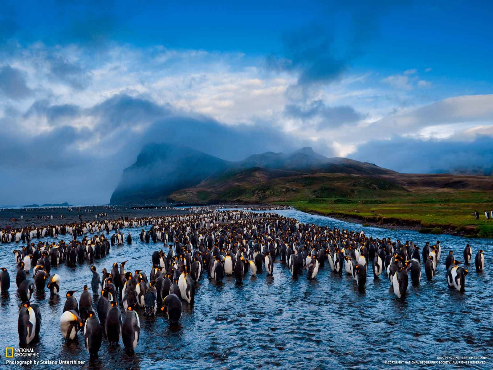 Famous National Geographic HD Wallpaper Part Unique