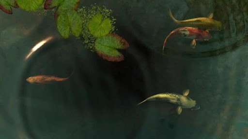 Koi Fish Animated Wallpaper Live App
