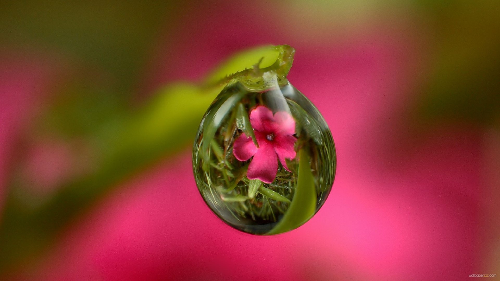 Water Drop HD Wallpaper