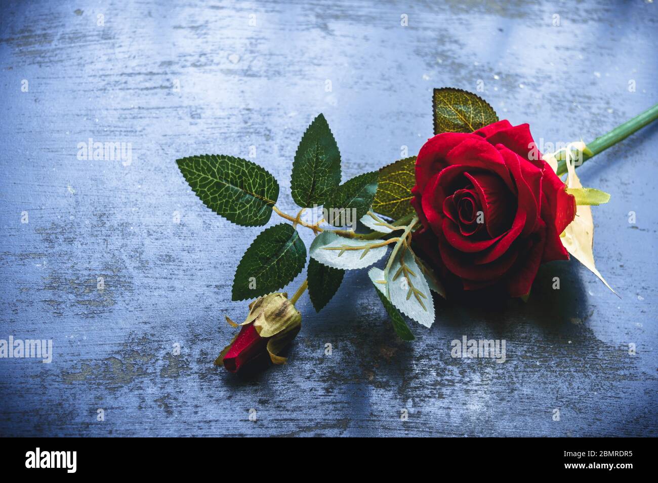 Red Rose Flower On Rustic Floor Nature Still Life Love Romantic