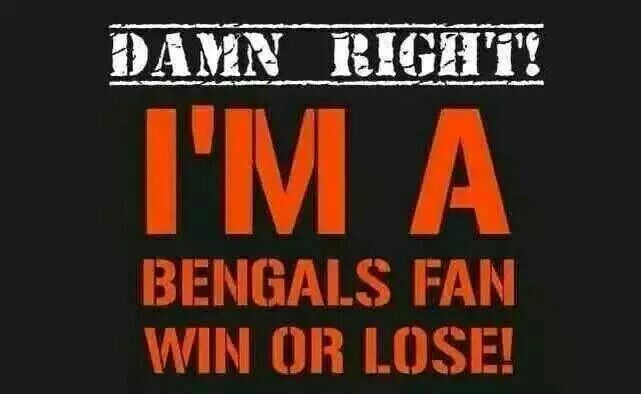  Bengals Bengals Meme Bengals Fan Cincinnati Bengals Dey Nation