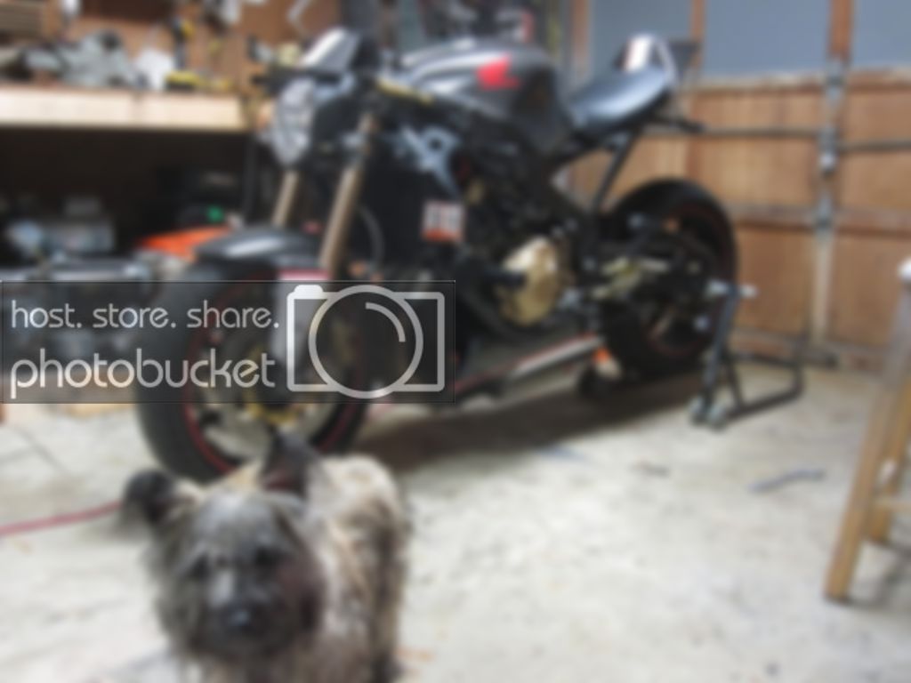 Clean And Simple Cbr600 Build Suzuki Sv650 Forum