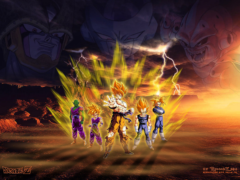 Home Gallery Dragon Ball Z Wallpaper