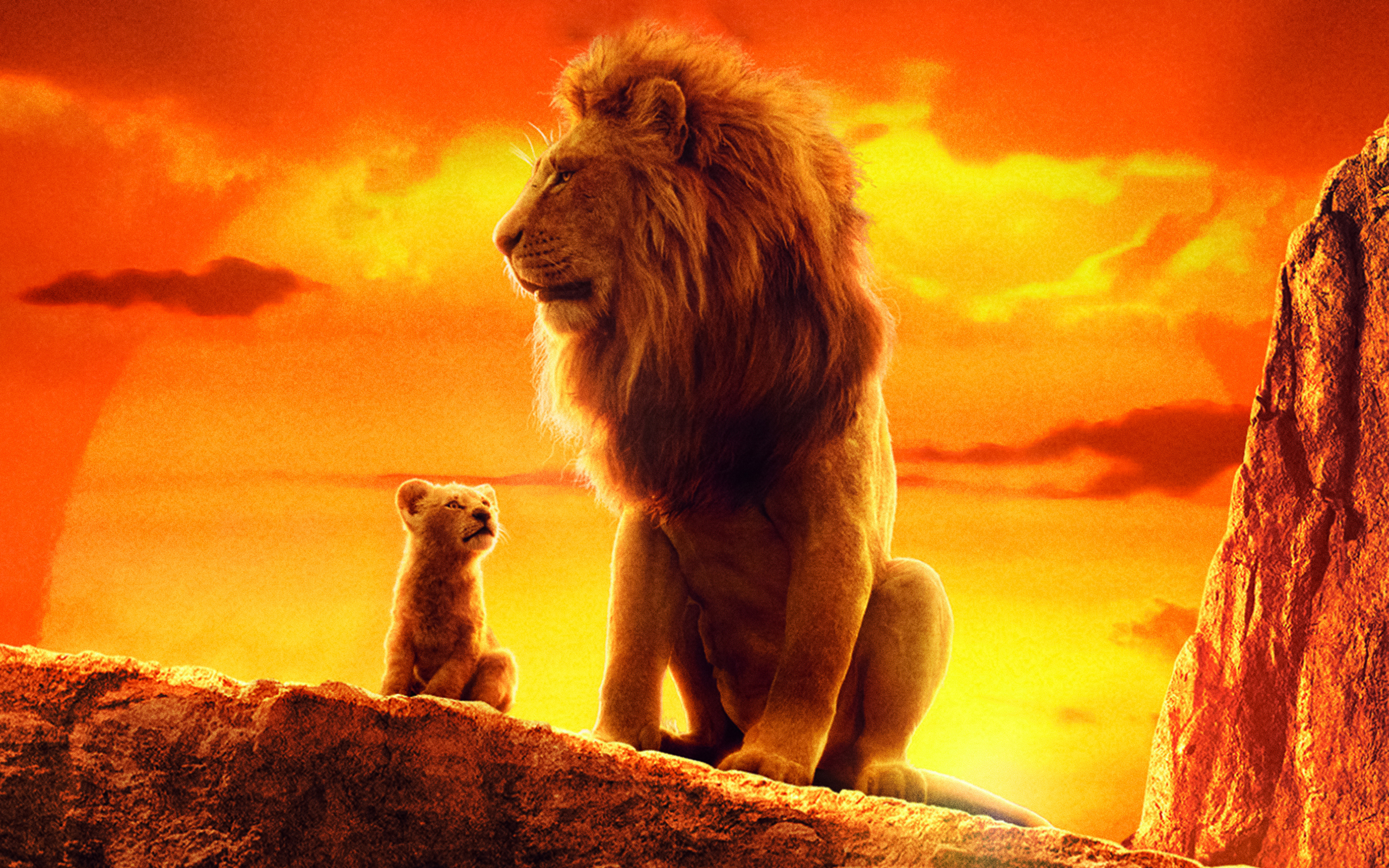 The Lion King 4k Movie HD Wallpaper Image Photos And Picture