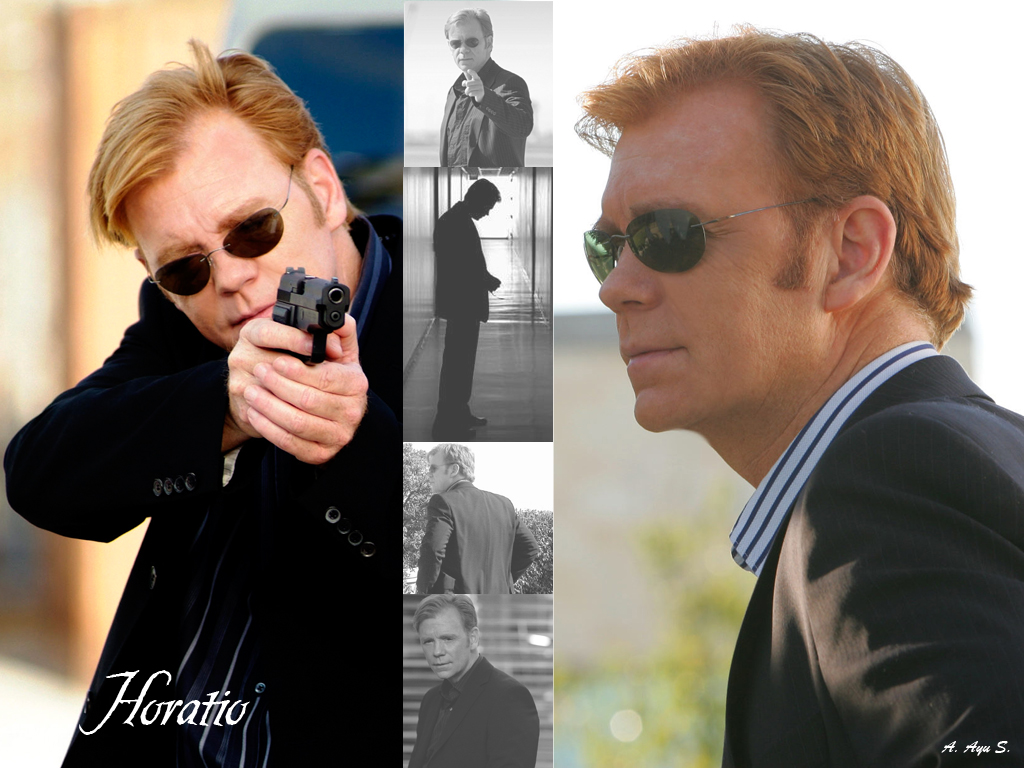 Image About Lt Horatio Caine David