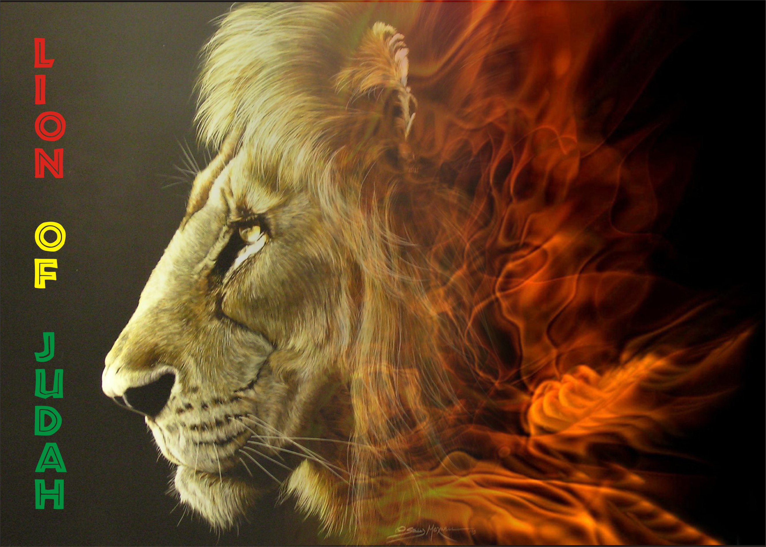 Lion Of Judah By Warndem