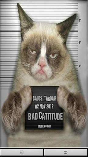 View bigger   Grumpy Cat Live Wallpapers for Android screenshot