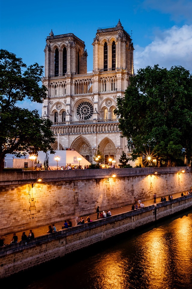 Notre Dame De Paris River Lights iPhone Wallpaper