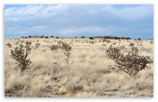 New Mexico Landscape HD Wallpaper For Standard Fullscreen Uxga