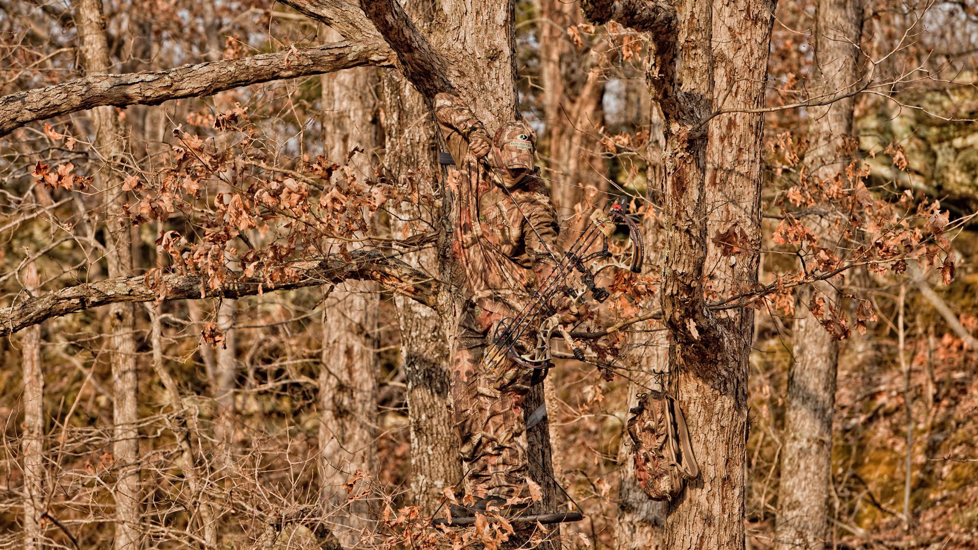Mossy Oak Camo Patterns Backgrounds Images Pictures   Becuo