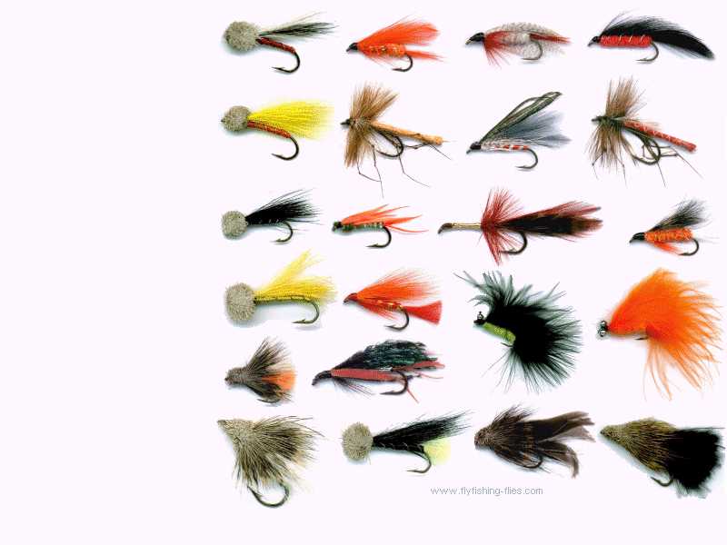 Fly Fishing Flies Puter Desktop Background Wallpaper