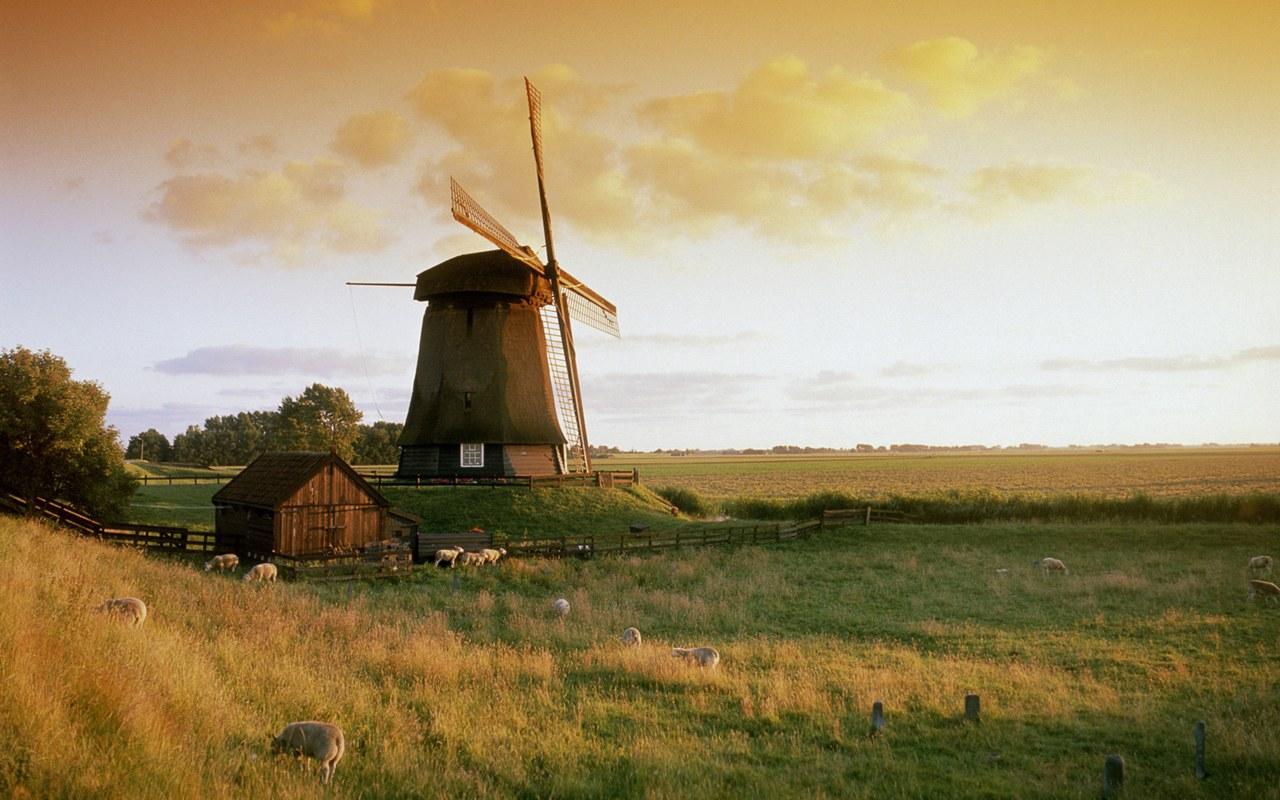 Herlands Scenery Windows Wallpaper Europe Part Windmill