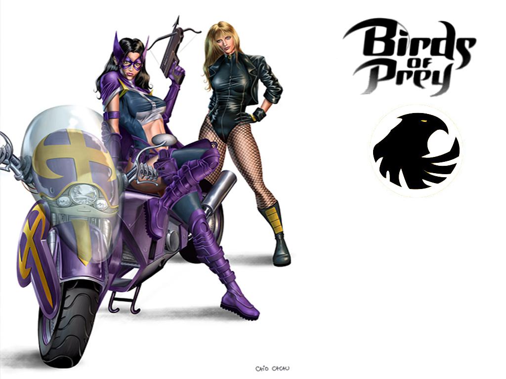 Birds Of Prey High Quality And Resolution Wallpaper On