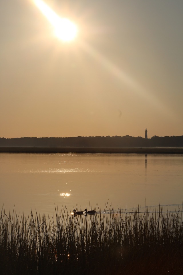 Foap Sunset At Chincoteague Image Pictures And Stock Photos
