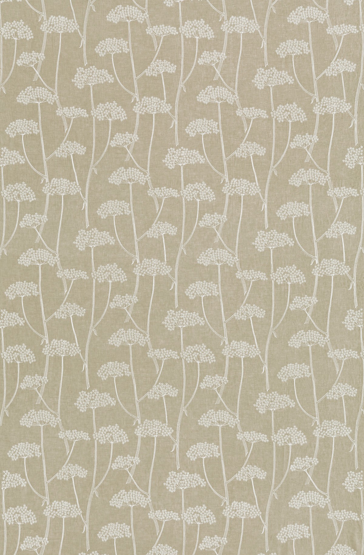 Anise By Sanderson Wallpaper Direct