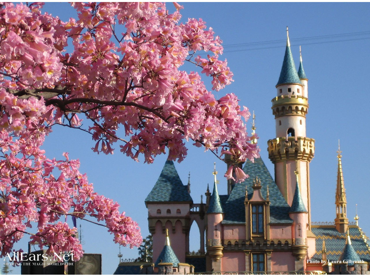 Disney Desktops Allears Net