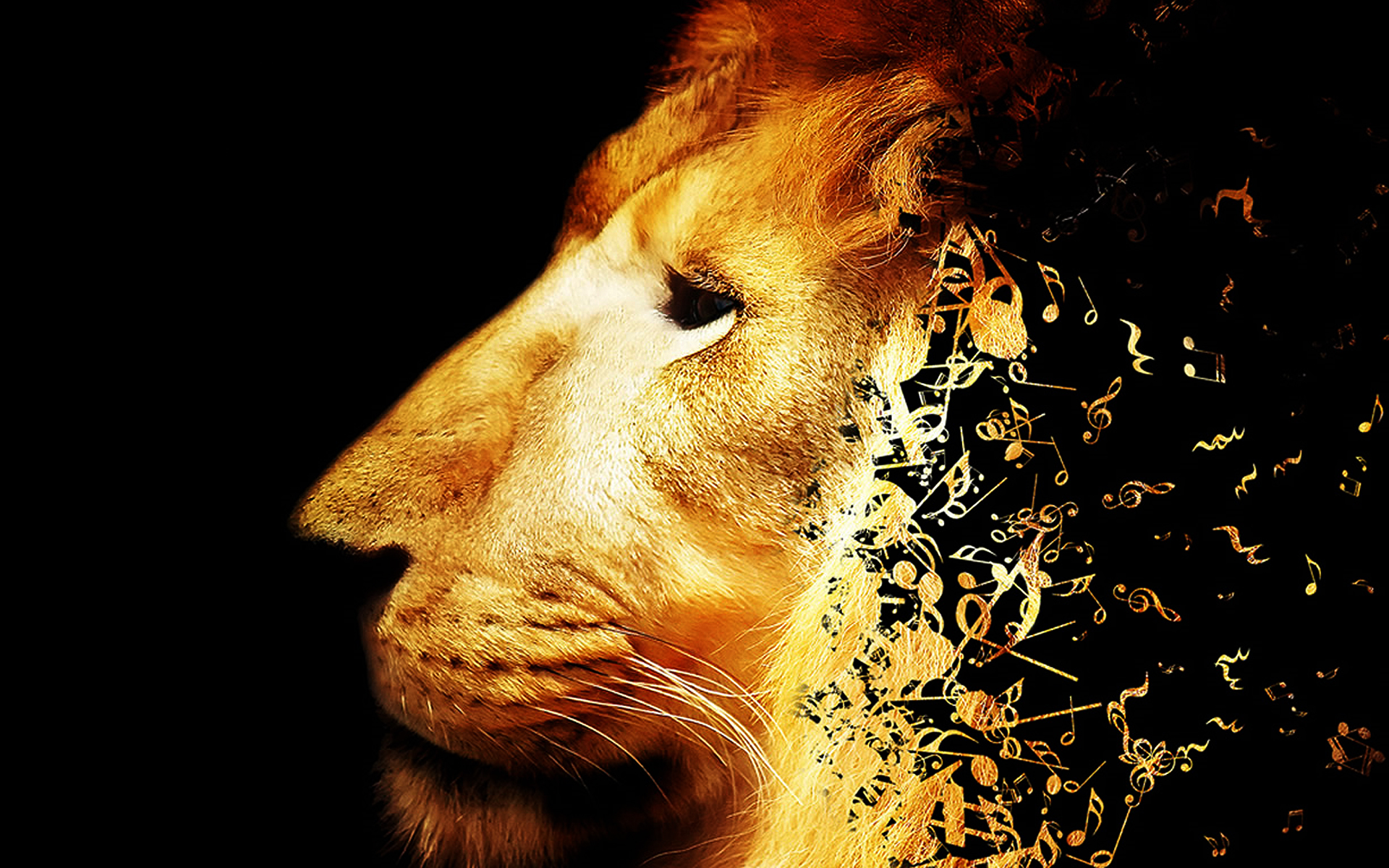 Lion Music Note Wallpaper High Resolution Size