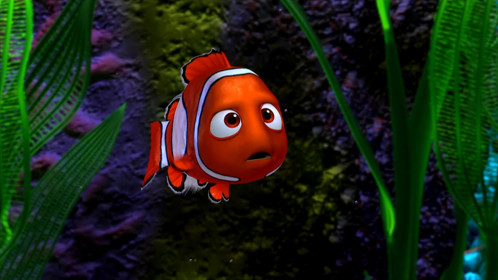 Animation Movie Geek Finding Nemo Wallpaper
