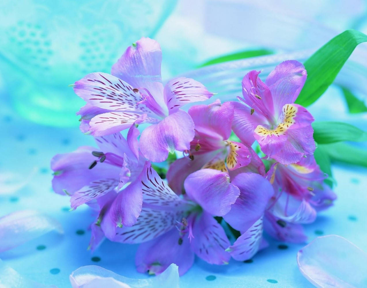 Purple Flower Desktop Wallpaper