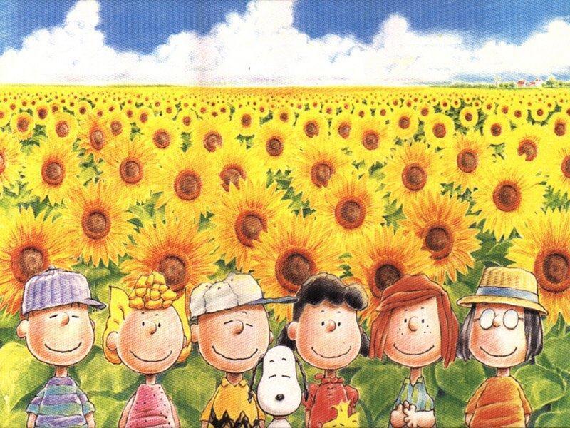 Peanuts In Sunflower Meadow Wallpaper