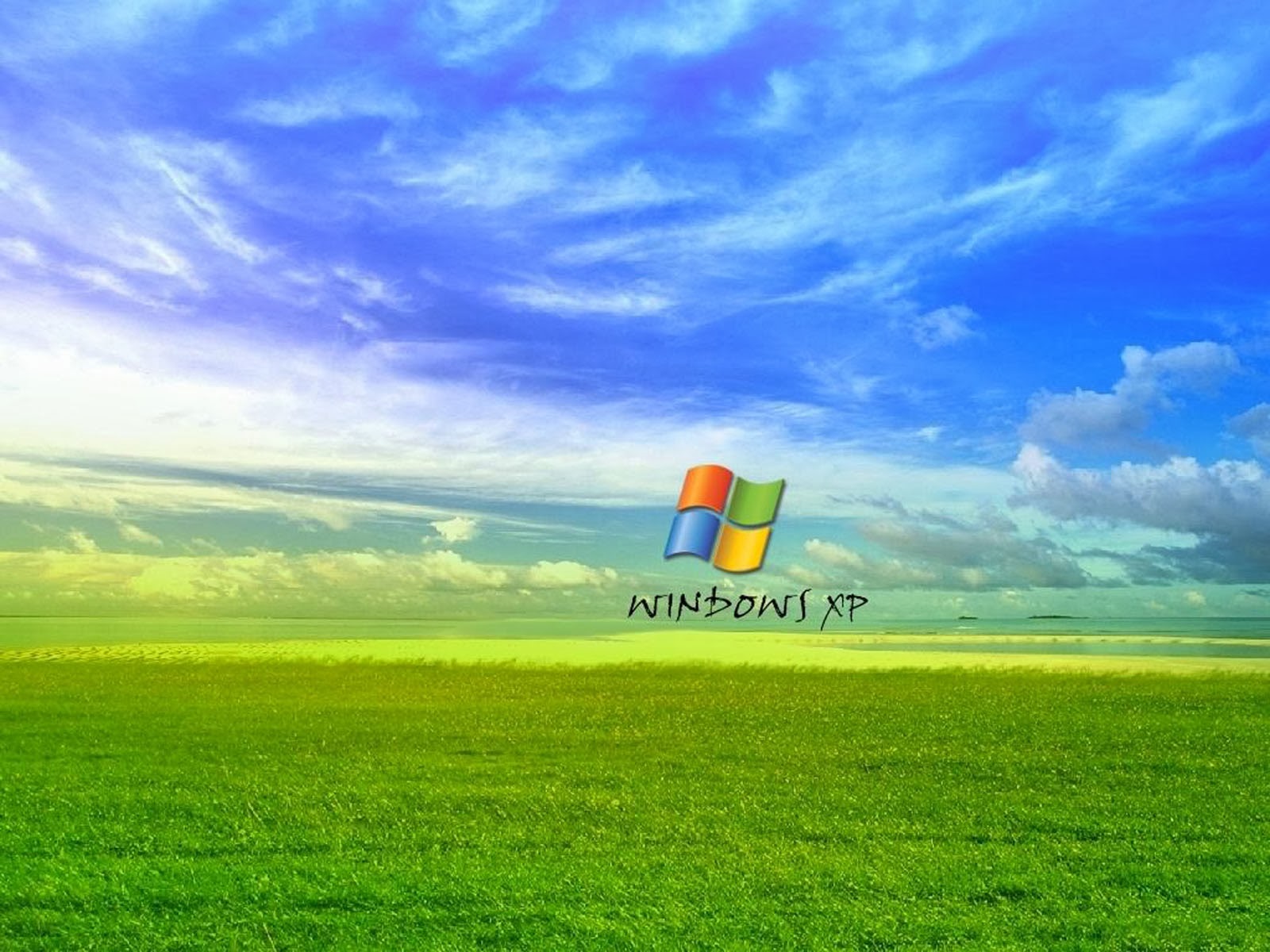Tag Grass Windows Xp Wallpaper Background Photos Image And