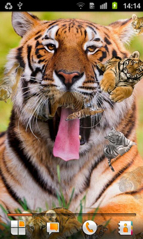 Tiger Live Wallpaper Android Apps On Google Play