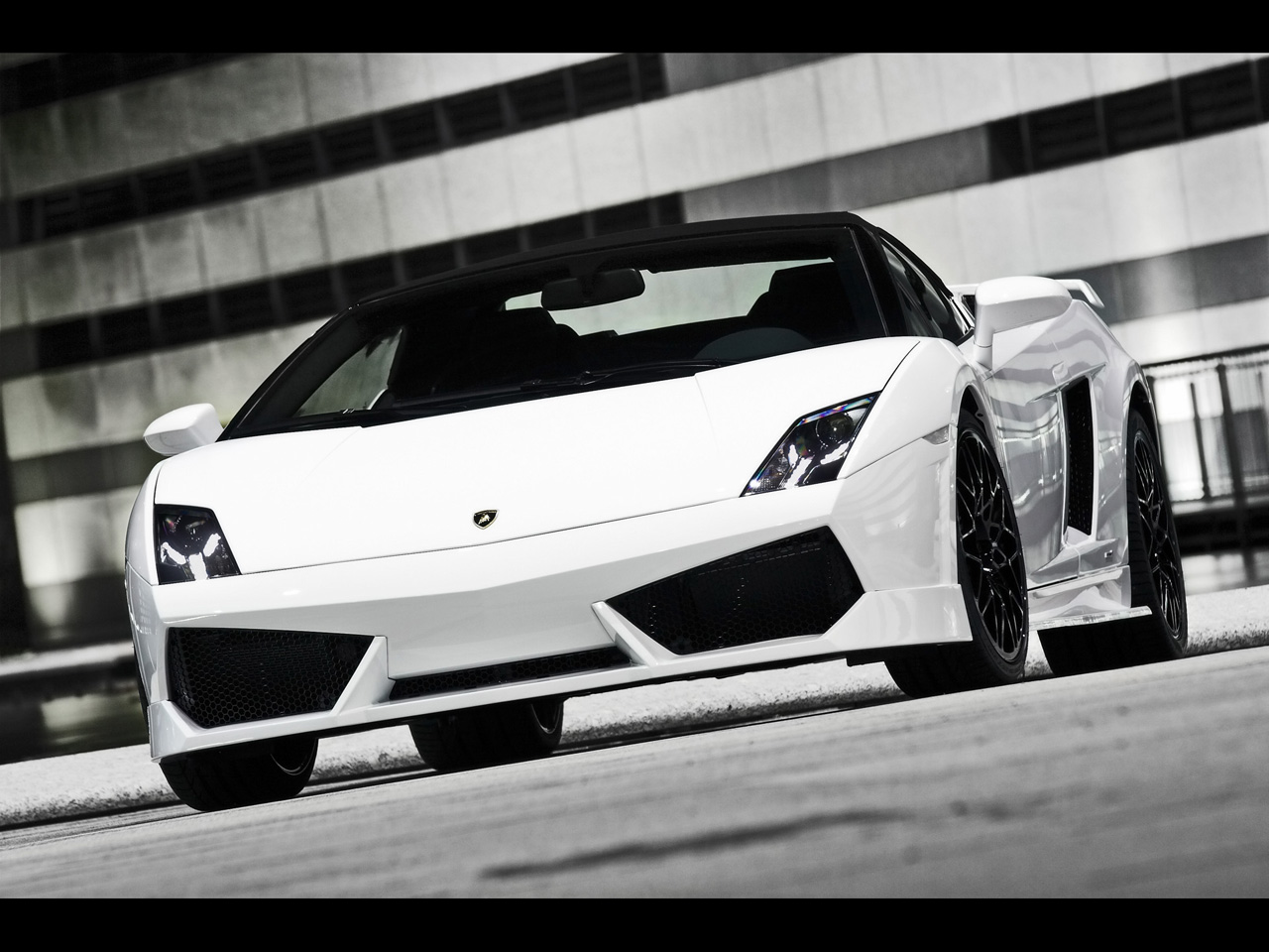 White Lamborghini Gallardo Wallpaper Car Release Date Res