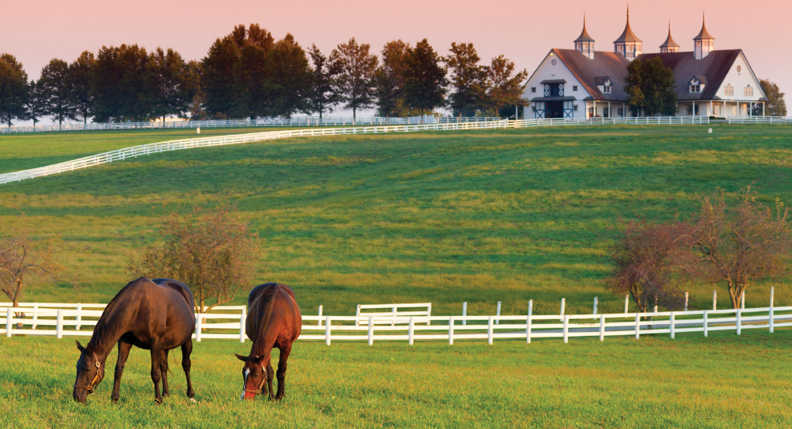 Kentucky Horse Farms Wallpaper