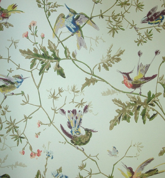 Hummingbirds Wallpaper Wallpaper with colourful birds on branches 534x576